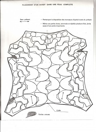 Cette illustration montre d’où viennent les différentes parties de plusieurs chaussures. Le prêtant est pris en compte pour éviter que le cuir ne se s’étire de trop à l’usage. (Source: CTC)