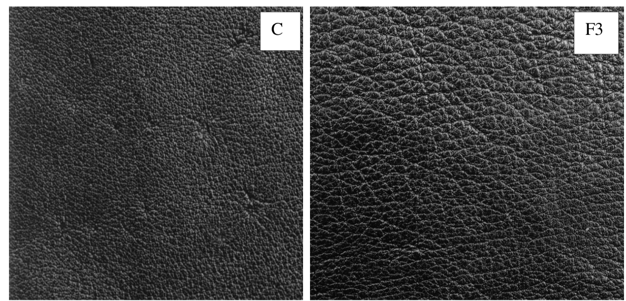 Un cuir pigmenté avant et après foulonnage à sec. Notez la différence dans le grain et la façon dont les défauts sont “masqués” (source : leather-dictionary)
