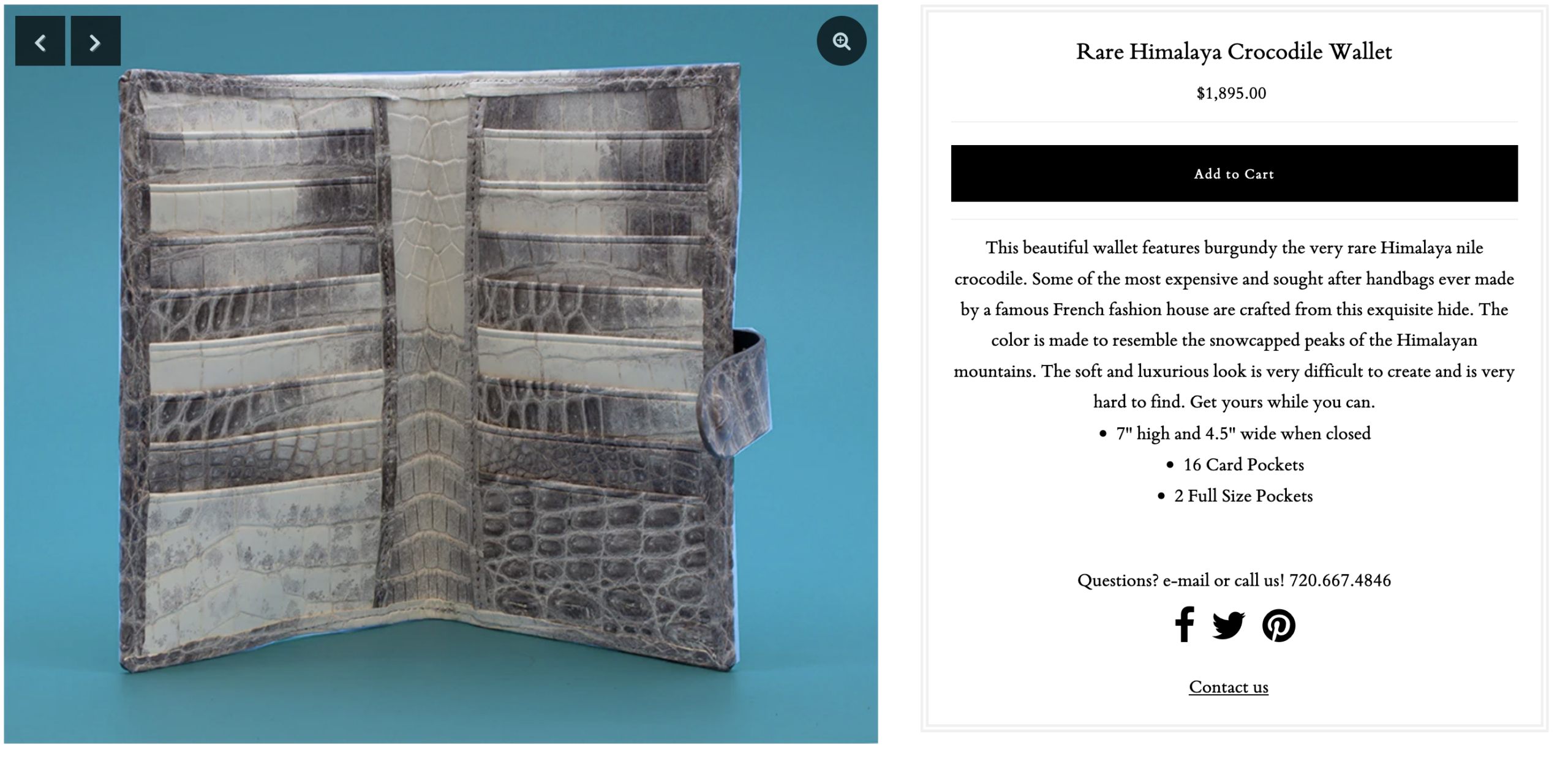 Voilà typiquement ce qu’il ne faut pas faire quand on réalise un portefeuille intégralement en alligator/crocodile. (Source : johnallenwoodward)