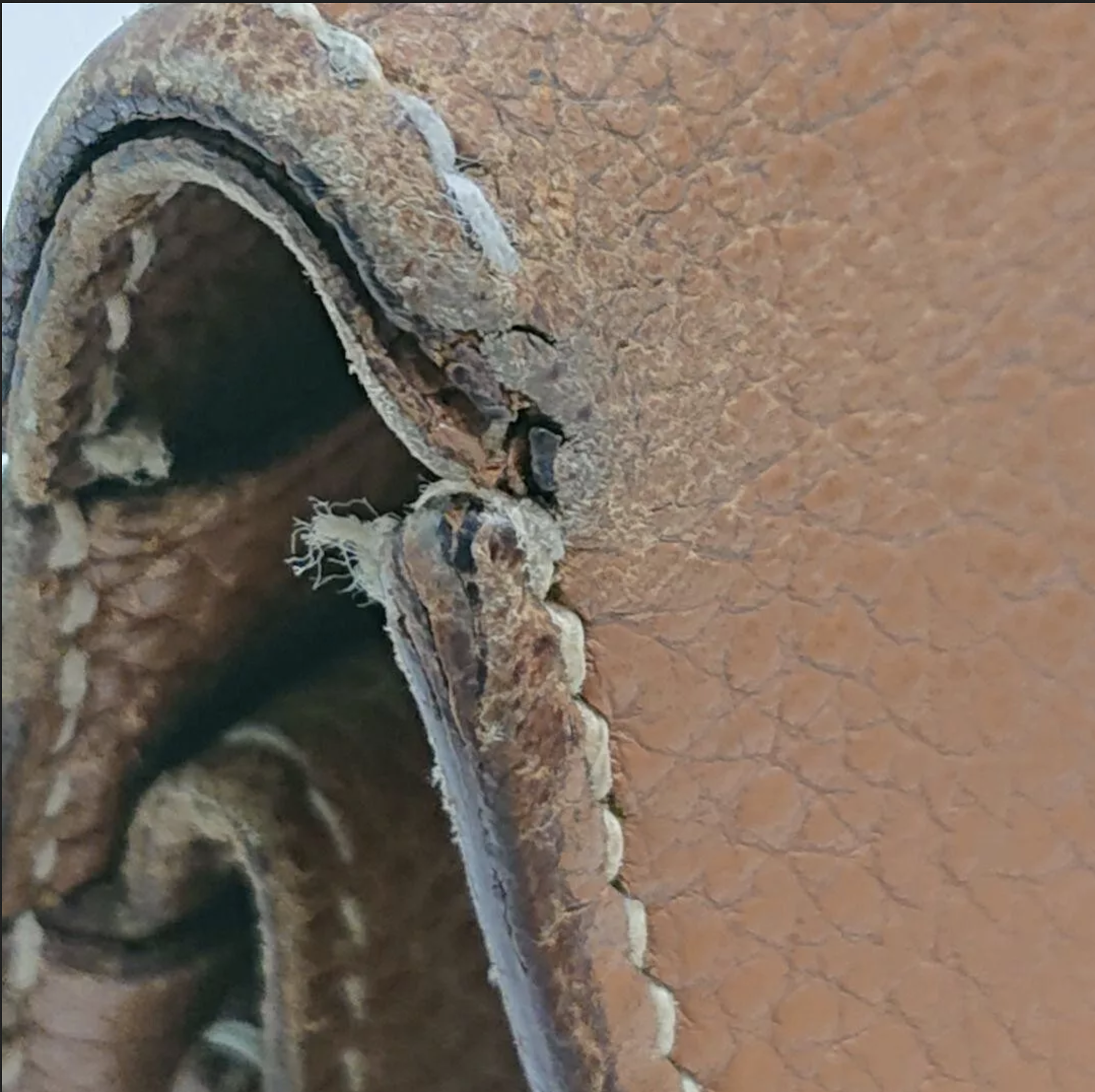  Idem, le cuir s’endommage et d’autres problèmes arrivent, le cuir s’abîme, les piqûre sautent... (Source : Ebay)